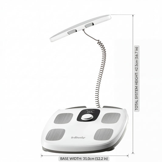 InBody Dial H30 Smart Body Composition Scale